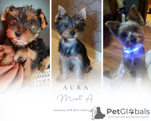 Zdjęcie №3. Marta Holc. Polska