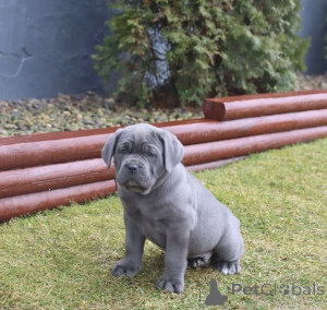 Zdjęcie №3. Twój król lojalności. Finlandia