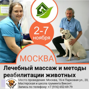 Zdjęcie №1. Usługi weterynaryjne w mieście Moskwa. Price - Negocjowane. Zapowiedź № 3478