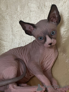 Zdjęcie №3. Nataliia. Niemcy