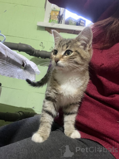 Zdjęcie №4. Sprzedam  w Rzeka Moskwa.  - cena - Bezpłatny