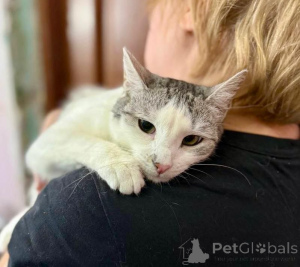 Zdjęcie №4. Sprzedam  w Rzeka Moskwa. prywatne ogłoszenie - cena - Bezpłatny