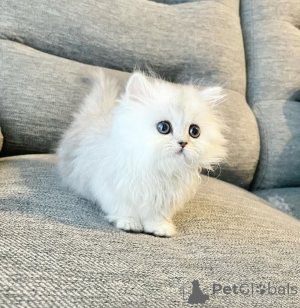 Zdjęcie №1.  - na sprzedaż w Marsylia | Bezpłatny | Zapowiedź № 162275