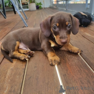 Zdjęcie №2 do zapowiedźy № 163559 na sprzedaż   - wkupić się Kanada 