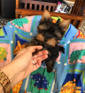 Zdjęcie №1.  - na sprzedaż w Dusseldorf | 1435zł | Zapowiedź №143877