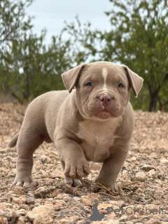 Zdjęcie №3. Lena Anikeva. Hiszpania