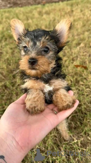 Zdjęcie №2 do zapowiedźy № 161252 na sprzedaż   - wkupić się Chorwacja 