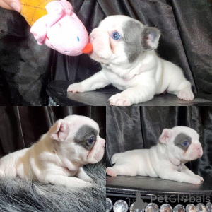 Zdjęcie №1.  - na sprzedaż w Algermissen | 2317zł | Zapowiedź №161141