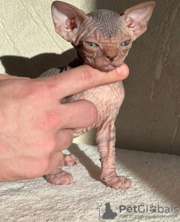 Zdjęcie №2 do zapowiedźy № 131990 na sprzedaż   - wkupić się Hiszpania prywatne ogłoszenie