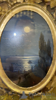 Zdjęcie №1. scottish straight - na sprzedaż w Almaty | 927zł | Zapowiedź № 164786