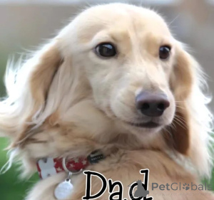 Zdjęcie №4. Sprzedam  w Alabama.  - cena - 1622zł