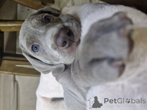 Zdjęcie №3. Natalia Nedodaeva. Kazachstan