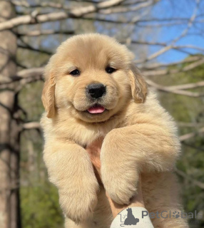 Zdjęcie №2 do zapowiedźy № 161253 na sprzedaż   - wkupić się Hiszpania 