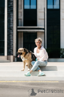 Zdjęcie №3. Melon czeka na swojego mężczyznę.. Federacja Rosyjska