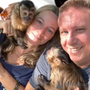 Zdjęcie №1.  - na sprzedaż w malaga | 23918zł | Zapowiedź № 166195