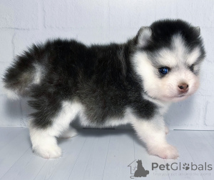 Zdjęcie №1.  - na sprzedaż w Krasnodar | 11959zł | Zapowiedź №146696