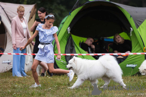 Zdjęcie №3. Wioleta Lasocka. Polska