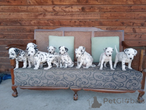 Zdjęcie №1.  - na sprzedaż w Virginia Beach | Bezpłatny | Zapowiedź №139139