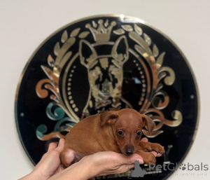 Zdjęcie №2 do zapowiedźy № 161326 na sprzedaż   - wkupić się Bośnia i Hercegowina 