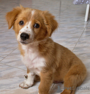 Zdjęcie №1.  - na sprzedaż w Antheia | 3827zł | Zapowiedź №162997