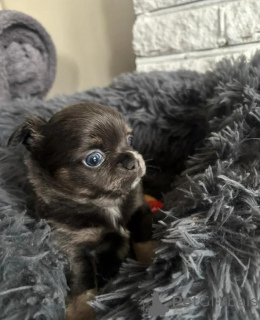 Zdjęcie №4. Sprzedam  w Grevesmühlen.  - cena - 1387zł