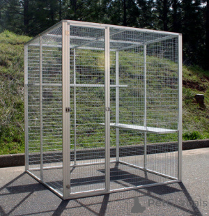 Zdjęcie №2 do zapowiedźy № 136341 na sprzedaż  cane corso - wkupić się Niemcy hodowca