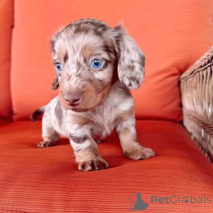 Zdjęcie №4. Sprzedam  w Arizona.  - cena - 3244zł