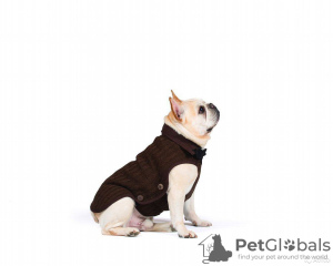 Zdjęcie №1. Dzianinowa nano kurtka (sweter) Nano Knit Sweater Dog Gone Smart. w mieście Москва. Price - 103zł. Zapowiedź № 11534