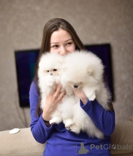 Zdjęcie №4. Sprzedam porcelaine w Lipsk. prywatne ogłoszenie - cena - 1793zł