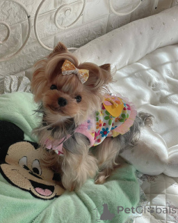 Zdjęcie №1.  - na sprzedaż w Texas City | 3812zł | Zapowiedź №138792