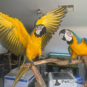 Zdjęcie №4. Sprzedam  w Arizona.  - cena - Bezpłatny