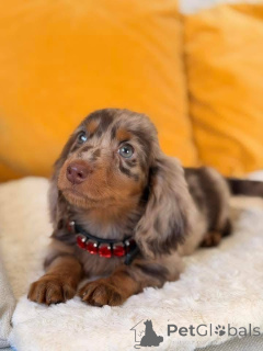 Zdjęcie №2 do zapowiedźy № 167011 na sprzedaż   - wkupić się USA 