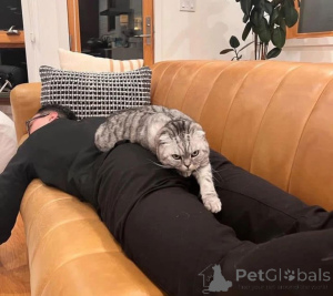 Zdjęcie №4. Sprzedam  w Augustusburg.  - cena - negocjowane