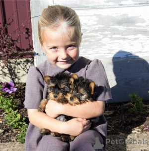 Zdjęcie №1.  - na sprzedaż w Baden-Baden | Bezpłatny | Zapowiedź №144936