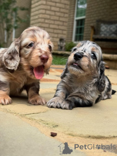 Zdjęcie №1.  - na sprzedaż w Dietikon | negocjowane | Zapowiedź №161818