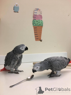 Zdjęcie №2 do zapowiedźy № 162983 na sprzedaż   - wkupić się Polska 