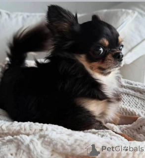 Zdjęcie №3. Witam wszystkich, wyciągam się z ciężkim sercem. Moja siostra niedawno zmarła,. USA