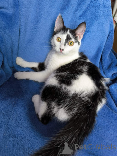 Zdjęcie №3. Dusza Emily. Białoruś