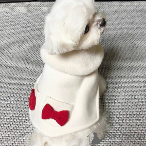 Zdjęcie №3. Sprzedam uroczego maltańskiego szczeniaka, kontakt z firmą WhatsApp 447450021323. Finlandia