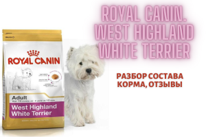 Royal Canin West Highland White Terrier: analiza składu paszy, recenzje