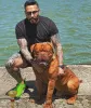 Dodatkowe zdjęcia: Dog de Bordeaux szczenięta