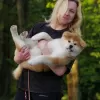 Zdjęcie №3. Szczenięta akita inu. Białoruś