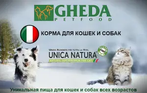 Zdjęcie №1. Karma dla psów „GHEDA Proper Form Professional Breeders” w mieście Petersburg. Price - Negocjowane. Zapowiedź № 4238