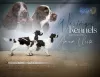 Zdjęcie №1. springer spaniel angielski - na sprzedaż w Niżny Nowogród | 3094zł | Zapowiedź №74035