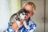 Dodatkowe zdjęcia: Szczenięta Alaskan Malamute