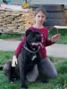 Dodatkowe zdjęcia: Cane Corso szczenięta na sprzedaż