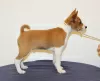 Dodatkowe zdjęcia: Puppy Basenji FCI