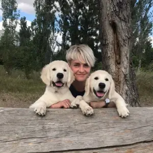 Dodatkowe zdjęcia: Golden Retriever Puppy