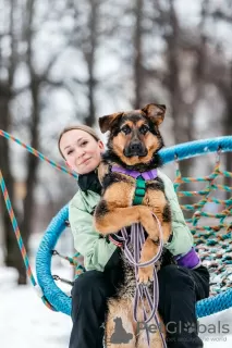 Dodatkowe zdjęcia: Futures szuka domu!