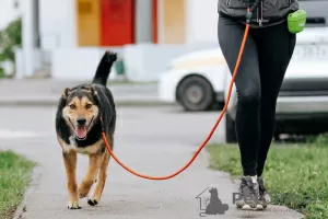 Dodatkowe zdjęcia: Optymista Roger szuka swojego mężczyzny!